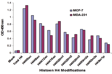 EpiQuik Histone H4 Modification Multiplex Assay Kit 背景介紹 - 威健股份有限公司